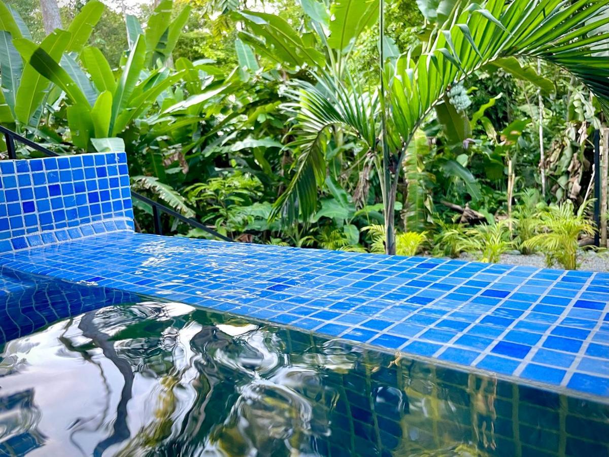Puerto Viejo de Talamanca Villa Joeyshe- New Luxury Villa With Pool & Ac מראה חיצוני תמונה